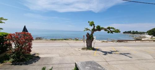 Zambratija Apartment | App Maria 3