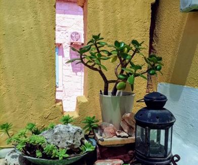 Vis House | Beautiful Vintage House