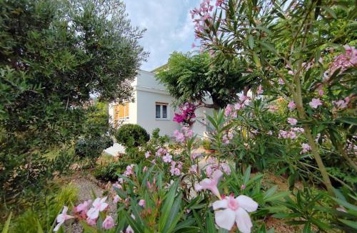 Barbat na Rabu Bed & Breakfast | Bed & Breakfast Josip