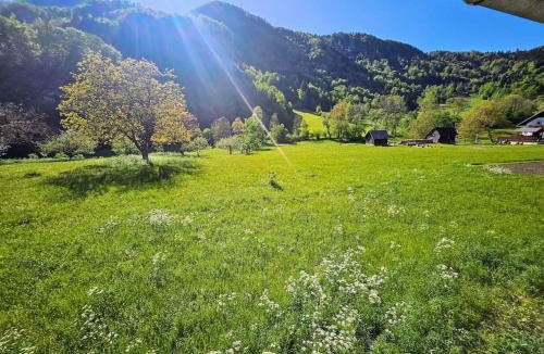 Bohinjska Bela Apartment | Big Windows, Endless Views by Pintar Apartments