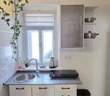 Bezigrad District Apartment | Bright apartment with free parking