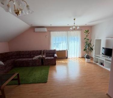 Hrastnik Apartment | Brin apartment