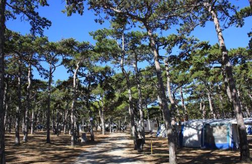 Razanac Resort | Camping Planik