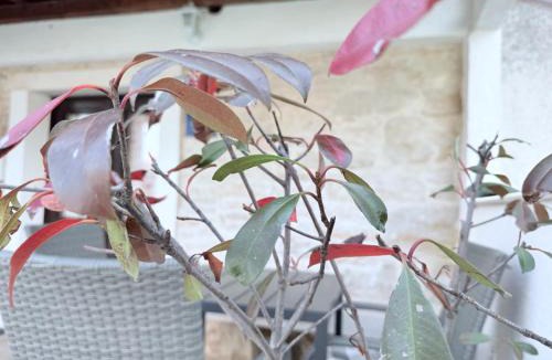 Mali Vareski House | Casa Pietra 27 , Authentic Istrian Stone House