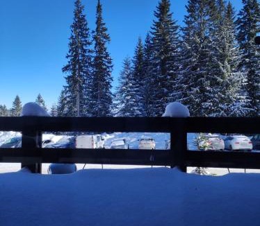 Jahorina Ski Chalet | Chalet Sedmica