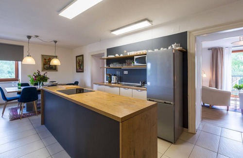 Zbandaj Apartment | Cozy apartment in Porec with WiFi