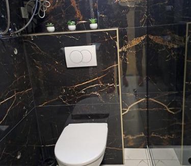 Valpovo Apartment | Dedin dvorac