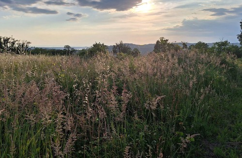 Piran Apartment | Discover nature's symphony, taste our own produced organic olive oil and wine.