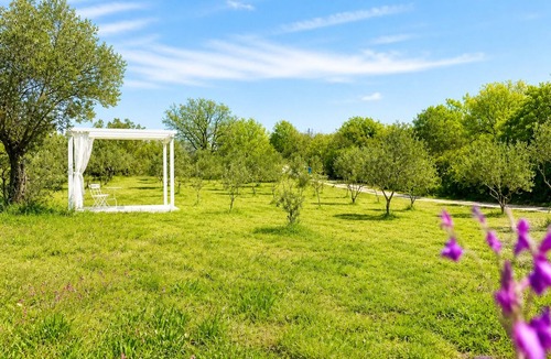 Jursici Villa | Dream house! Villa in the olive grove - pool, whirlpool, sauna & 9,000 square meters of privacy