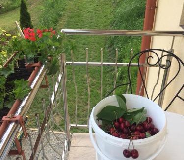 Bostanj House | Farm ,zidanica ,JOLI