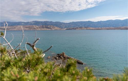 Bosana Apartment | Gorgeous Apartment In Novalja With House Sea View