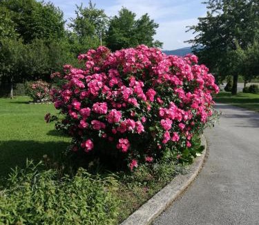 Rakovica House | Guesthouse Šebalj