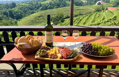 Majsperk House | Halozechill Holidayhome sorounded by wineyards and a 10 minte drive from freeway