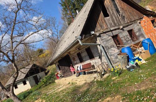Smarje pri Jelsah House | Haus im Wald