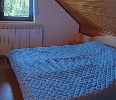 Presika House | Holiday home Bjelica