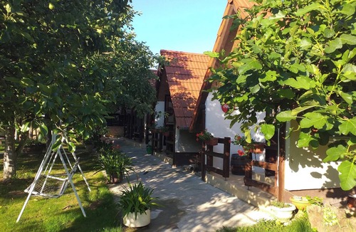 Kutina House | Homerez - Bungalow in Brinjani