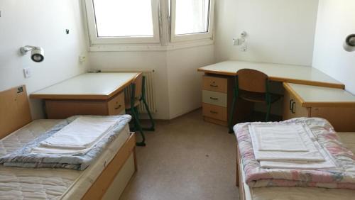 Ljubljana Hostel | Hostel Rožna dolina, Dom XIV