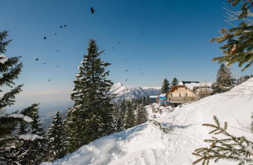 Ambroz pod Krvavcem Hotel | Hotel House Rozka