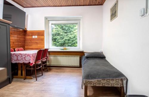 Hocko Pohorje Ski Chalet | House Angelca