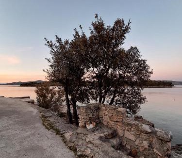 Knez Apartment | House by the sea