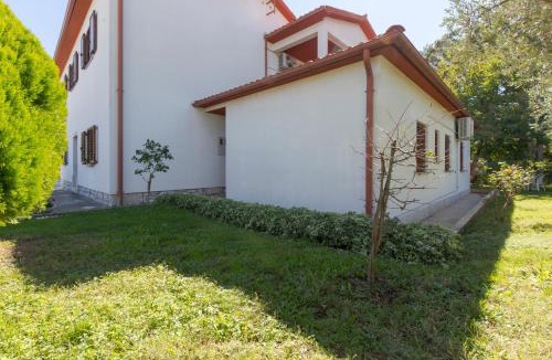 Vozilici House | House Kontus