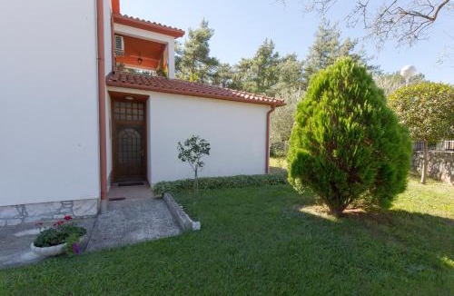 Vozilici House | House Kontus