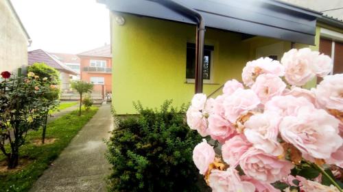 Dakovo House | Kuća za odmor Proljeće
