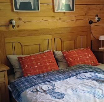 Hrib pri Hinjah House | Loghouse cabin in the Kočevje forest