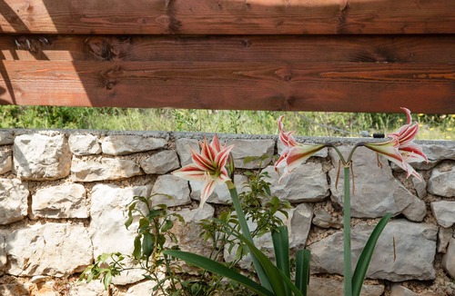 Rogac Apartment | Lovely couple apartment a few steps from the sea
