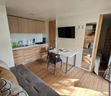 Borik Other | Mobile home Dream , Camp Porton Biondi- Rovinj