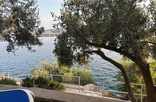 Komarna Apartment | Olive Tree Apartment