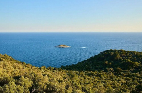 Maranovici Apartment | One bedroom apartment with terrace and sea view Maranovići (Mljet) (A-22339-b)