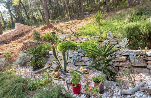 Zastrazisce Apartment | One bedroom apartment near beach Cove Vela Stiniva, Hvar (A-6864-a)