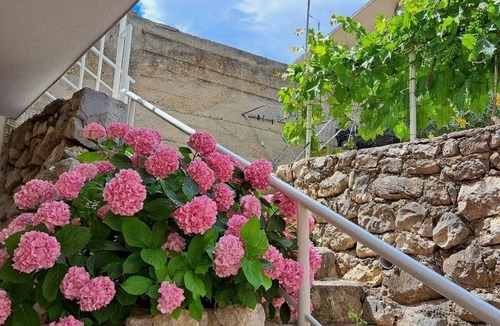 Igrane Apartment | One bedroom apartment near beach Igrane, Makarska (A-21577-a)