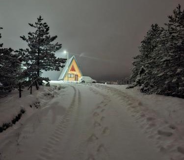 Zlatibor Ski Chalet | Planinska kuća, Brvnara-Škodrić - Šljivovica, Zlatibor