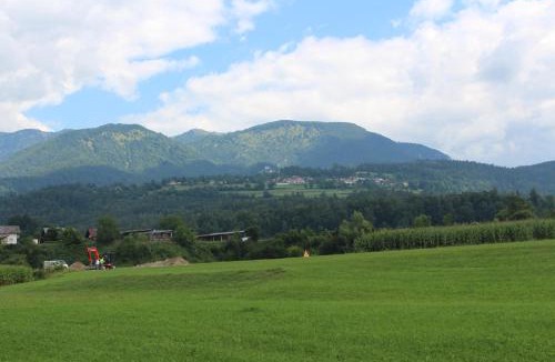 Nevlje House | Počitniška hiška Pod Skalco