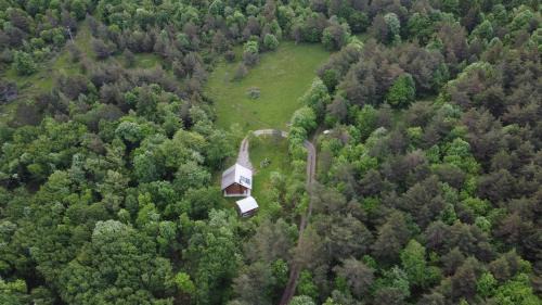 Ilirska Bistrica Ski Chalet | Podklanci-house in the forest