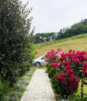 Bogutovac House | Proplanak
