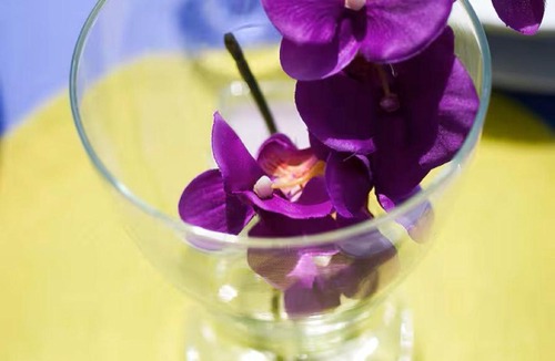 Razanj House | Quiet Bay Getaway Apt Mona 5 7 and 8