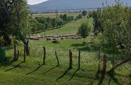 Plitvicka Jezera House | Small country house under Lindentree for enjoy in nature