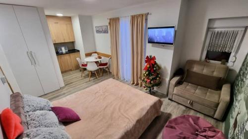 Jahorina Apartment | Snowman Studio Apartment Jahorina