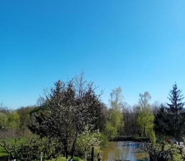 Nova Kapela House | Spa & Heated Pool Holiday House - Šumska vila