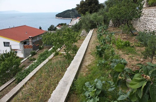 Drvenik Apartment | Studio flat with balcony and sea view Drvenik Gornja vala, Makarska (AS-4890-c)