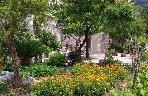 Slano Apartment | Studio flat with balcony and sea view Slano, Dubrovnik (AS-2682-a)