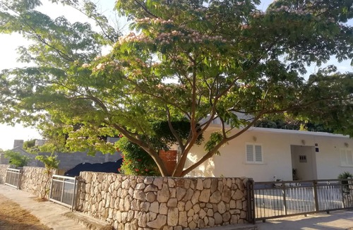 Kobas Apartment | Studio flat with terrace Cove Saplunara, Mljet (AS-4896-b)