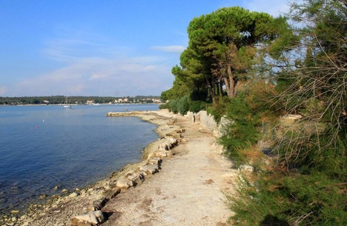 Dajla Apartment | Studio flat with terrace Dajla, Novigrad (AS-6935-a)