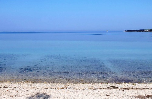 Petrcane Apartment | Studio flat with terrace and sea view Petrčane, Zadar (AS-14628-b)