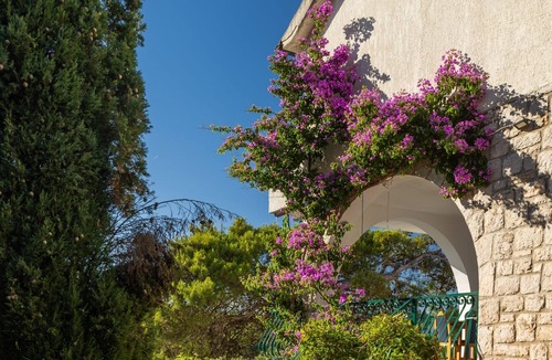 Island Hvar Apartment | Studio flat with terrace and sea view Jelsa, Hvar (AS-25835-a)
