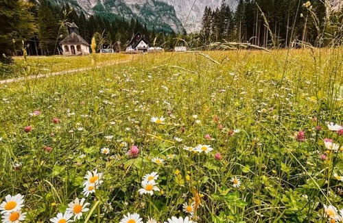 Studor House | Tamar Mountain hut