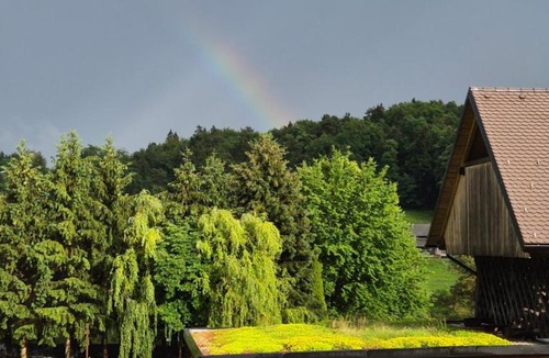 Celje Other | The Lake Window Eco Cabin by the Lake